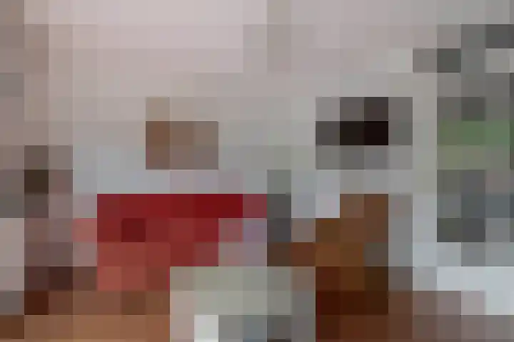 Plutostraat 33 Krommenie thumbnail 14