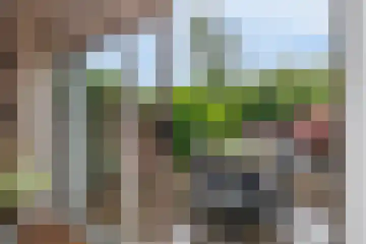 Plutostraat 33 Krommenie thumbnail 17