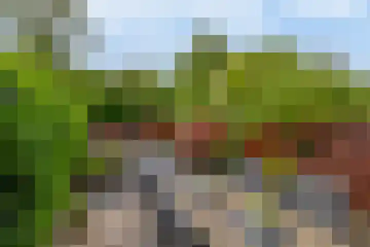 Plutostraat 33 Krommenie thumbnail 19