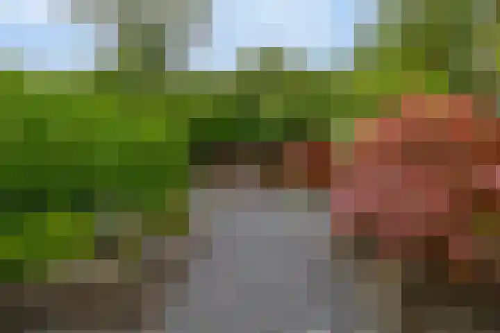 Plutostraat 33 Krommenie thumbnail 20
