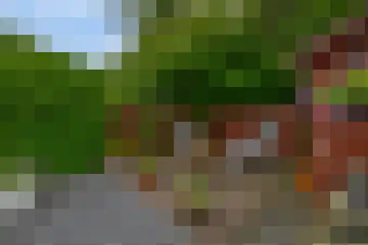 Plutostraat 33 Krommenie thumbnail 21