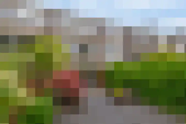 Plutostraat 33 Krommenie thumbnail 22