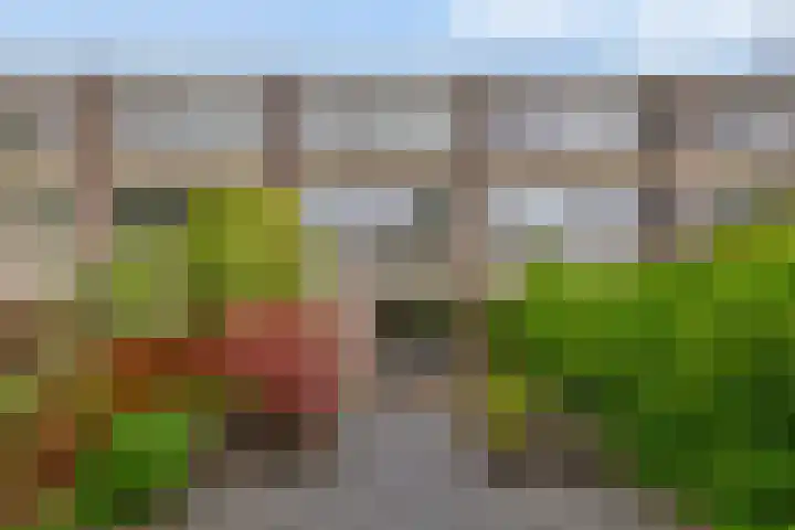 Plutostraat 33 Krommenie thumbnail 23