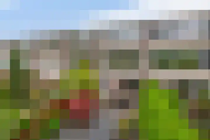 Plutostraat 33 Krommenie thumbnail 24