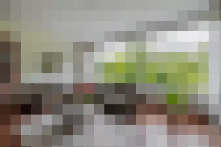 Plutostraat 33 Krommenie thumbnail 28