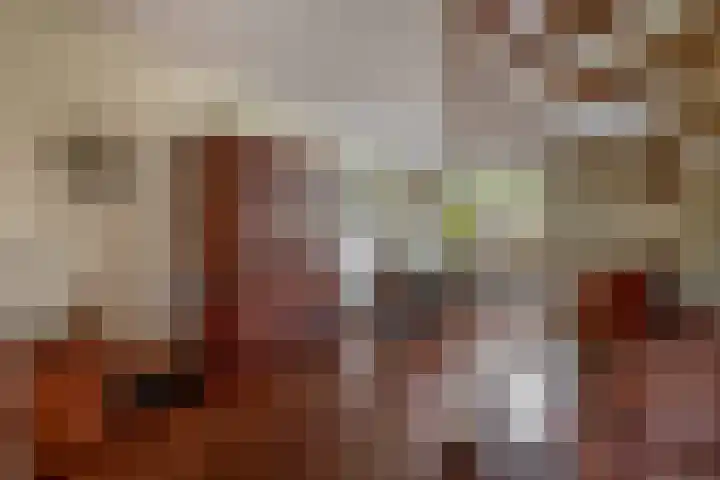 Plutostraat 33 Krommenie thumbnail 32