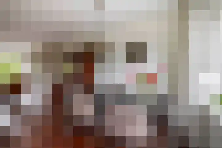 Plutostraat 33 Krommenie thumbnail 33
