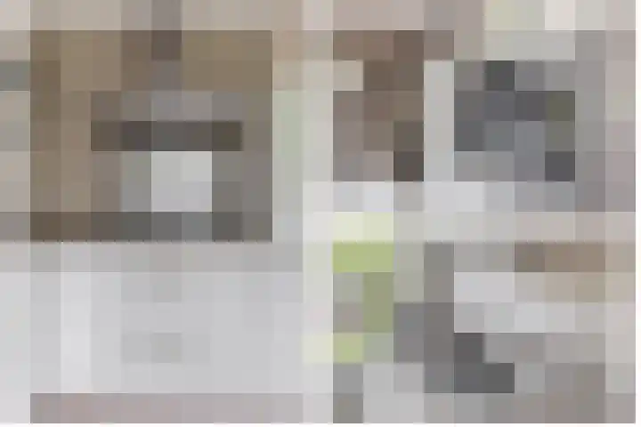 Plutostraat 33 Krommenie thumbnail 34