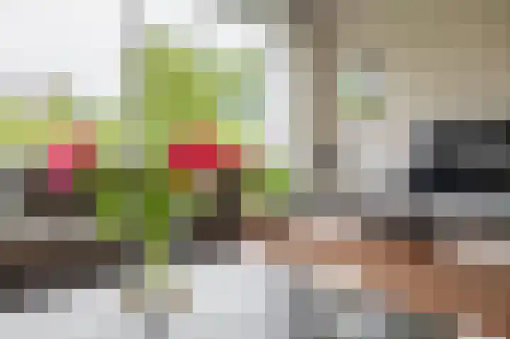 Plutostraat 33 Krommenie thumbnail 36