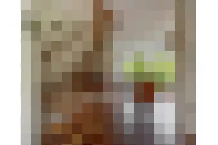 Plutostraat 33 Krommenie thumbnail 37