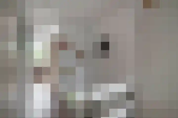 Plutostraat 33 Krommenie thumbnail 39