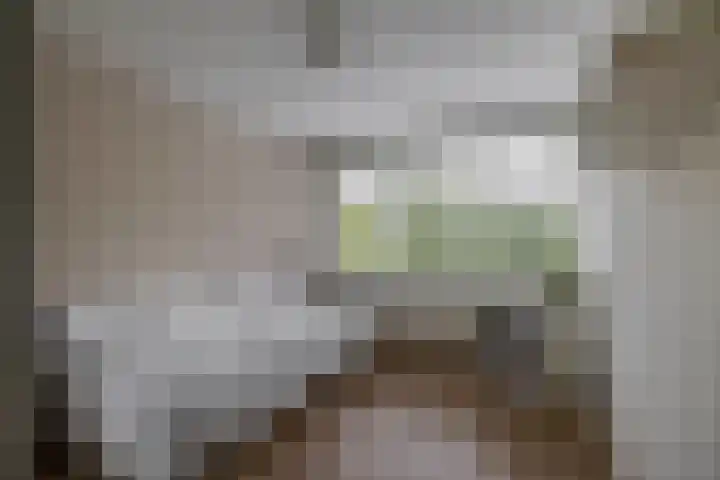 Plutostraat 33 Krommenie thumbnail 41