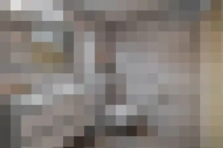 Plutostraat 33 Krommenie thumbnail 43