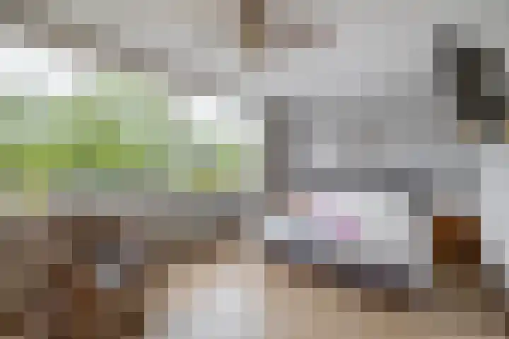 Plutostraat 33 Krommenie thumbnail 45