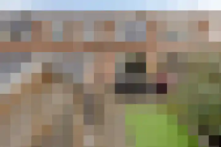 Plutostraat 35 Nijmegen thumbnail 33