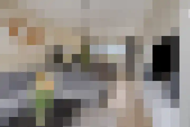Plutostraat 35 Nijmegen thumbnail 9