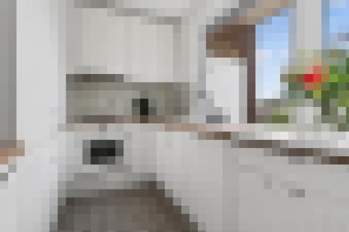 Plutostraat 36 Nijmegen thumbnail 11