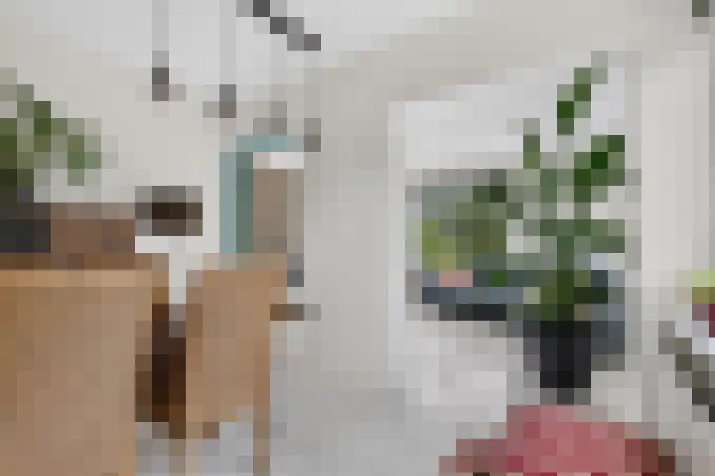 Plutostraat 36 Nijmegen thumbnail 22