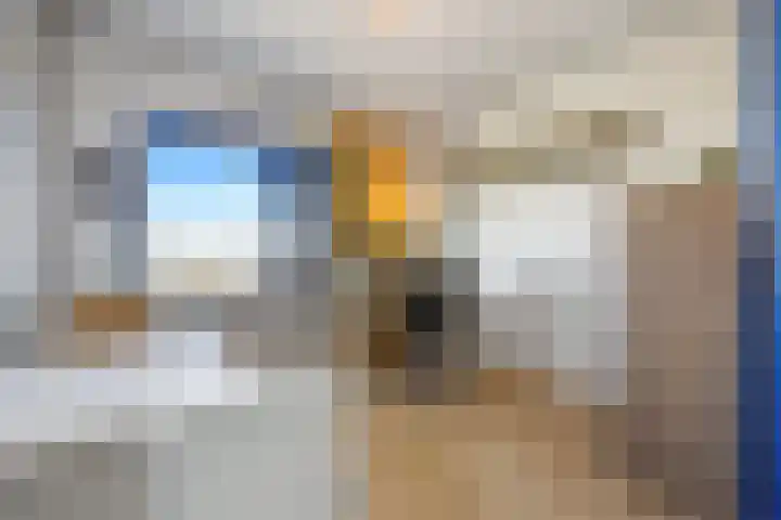 Plutostraat 38 Nijmegen thumbnail 35