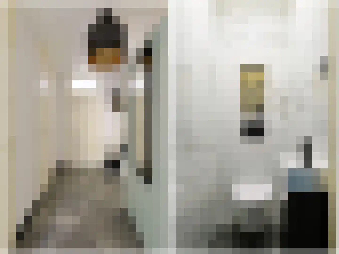 Plutostraat 48 Alphen aan den Rijn thumbnail 8