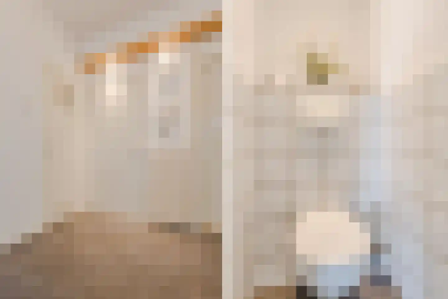 Plutostraat 62 Nijmegen thumbnail 9