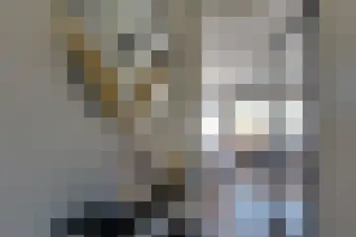 Plutostraat 7 Assen thumbnail 10