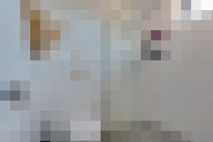 Plutostraat 7 Assen thumbnail 20