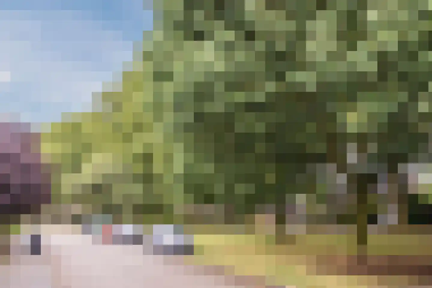 Plutostraat 7 Dongen thumbnail 29