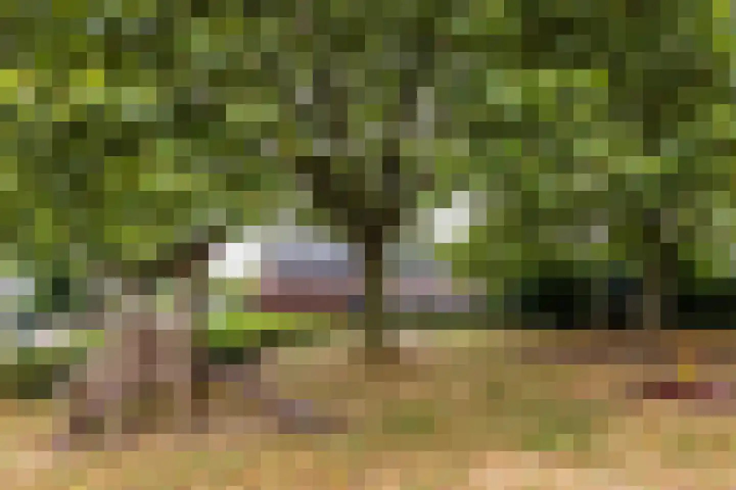 Plutostraat 7 Dongen thumbnail 30