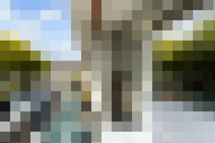 Plutostraat 78 Alphen aan den Rijn thumbnail 14