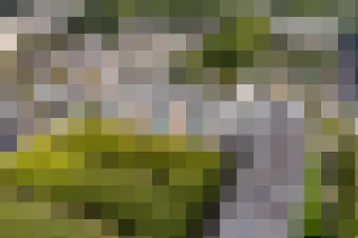 Plutostraat 78 Alphen aan den Rijn thumbnail 36