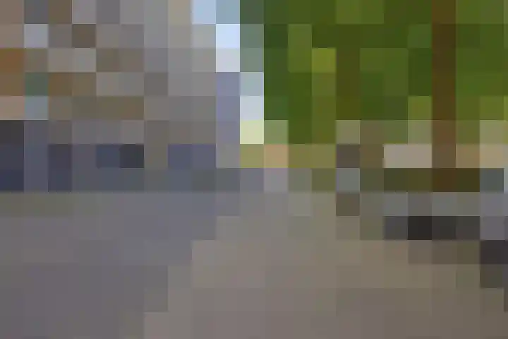 Plutostraat 80 Alphen aan den Rijn thumbnail 9