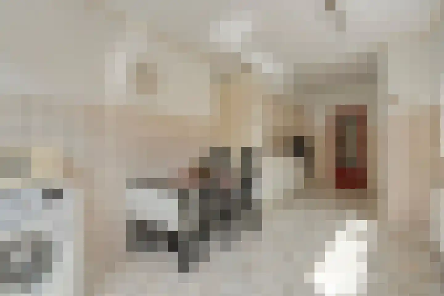 Plutostraat 9 Hengelo thumbnail 12