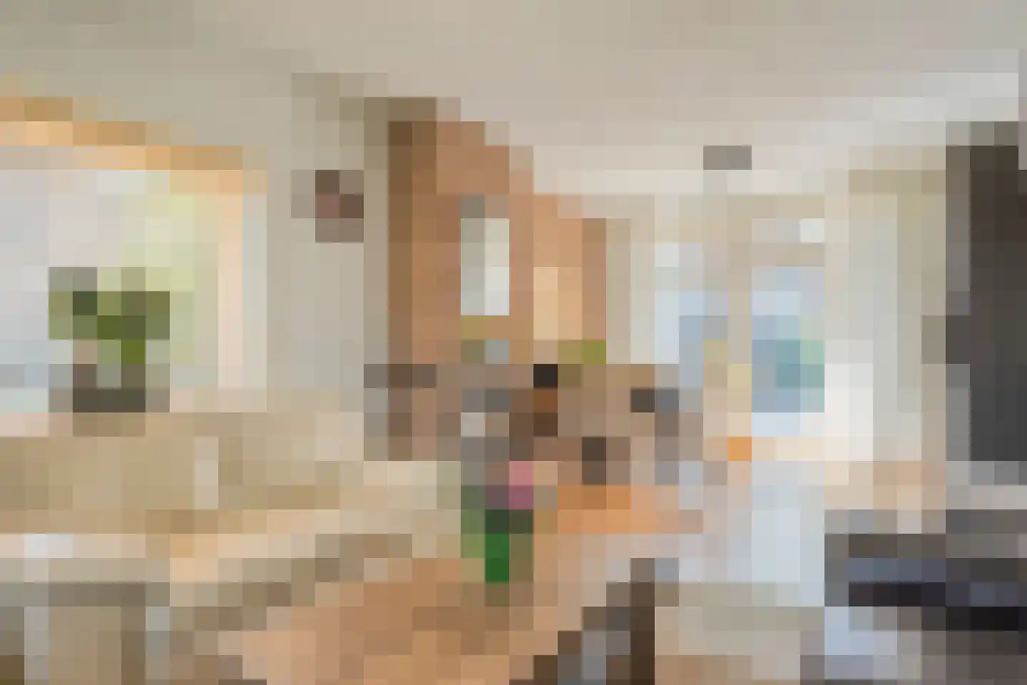 Plutostraat 9 Hengelo thumbnail 17
