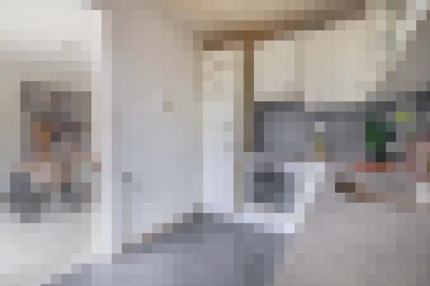 Pluut 26 Lemmer thumbnail 22
