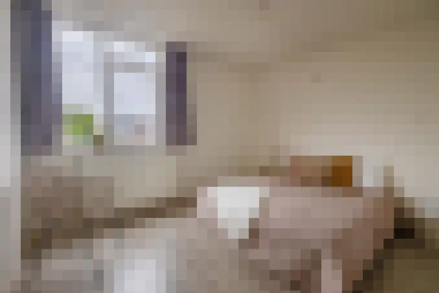 Pluut 26 Lemmer thumbnail 29
