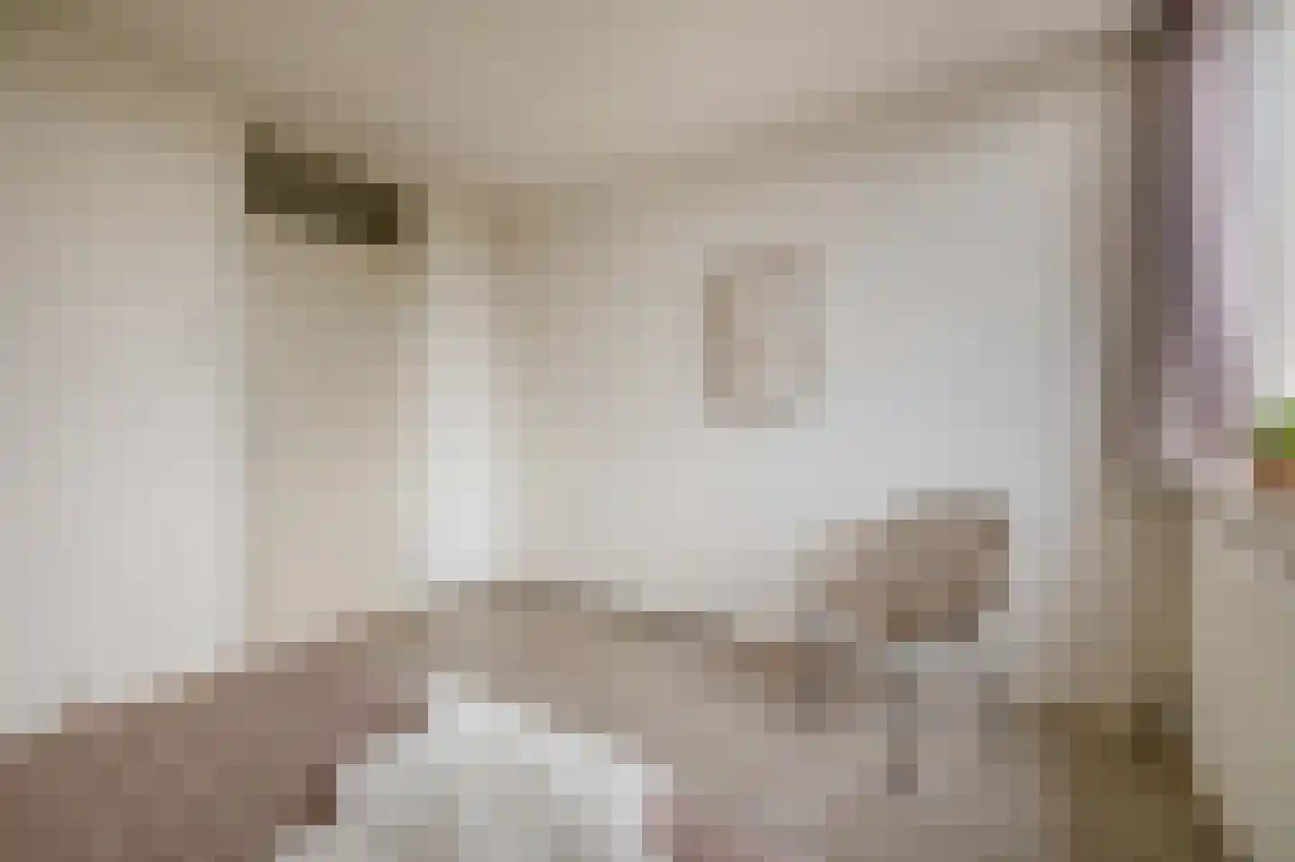 Pluut 26 Lemmer thumbnail 30