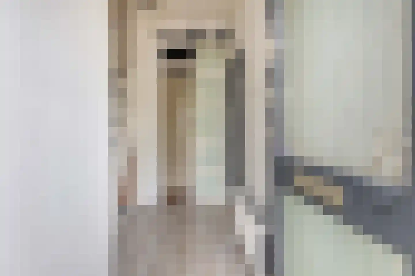 Pluut 26 Lemmer thumbnail 8