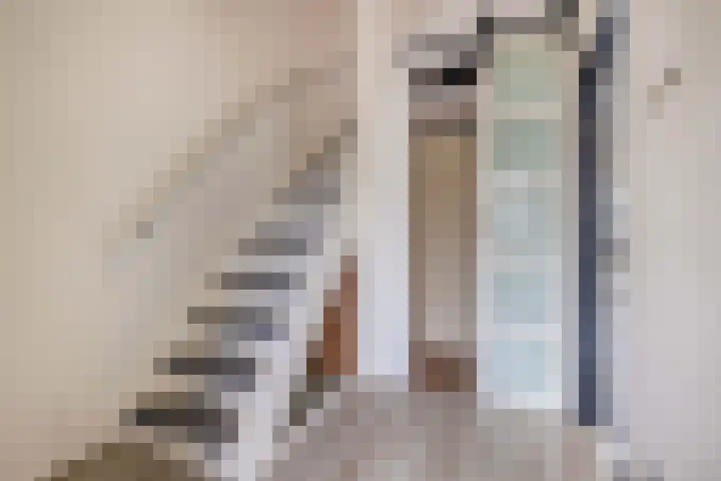 Pluut 26 Lemmer thumbnail 9