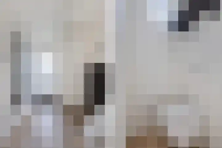 Pluut 32 Lemmer thumbnail 10
