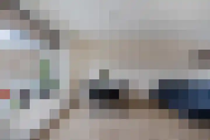 Pluut 32 Lemmer thumbnail 11