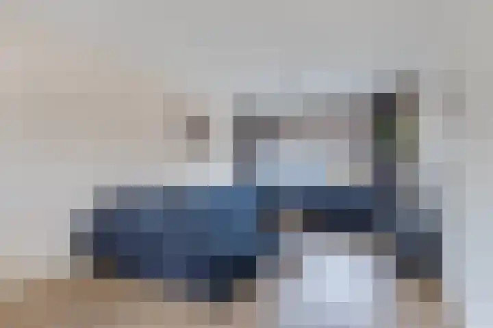 Pluut 32 Lemmer thumbnail 13