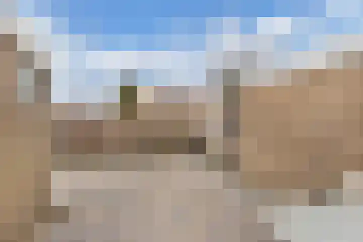 Pluut 32 Lemmer thumbnail 19