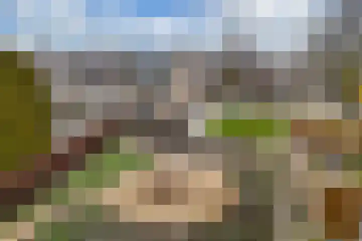 Pluut 32 Lemmer thumbnail 25