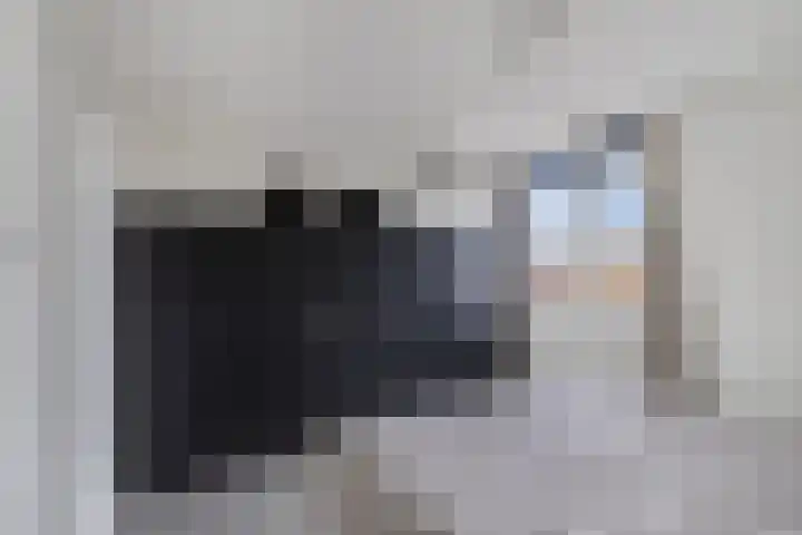Pluut 32 Lemmer thumbnail 28