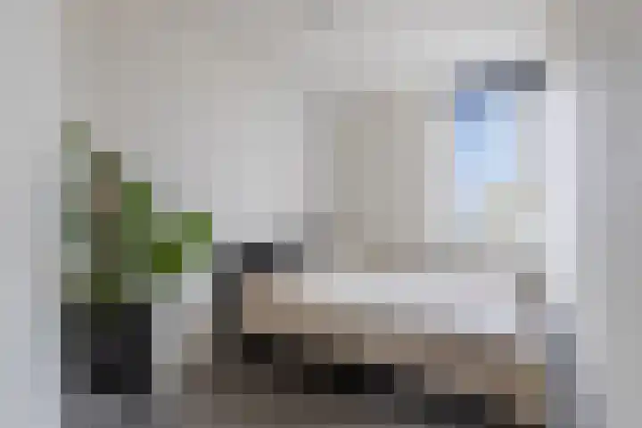 Pluut 32 Lemmer thumbnail 29