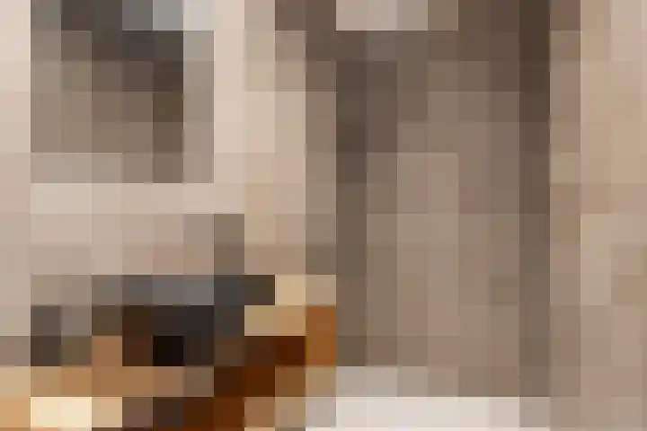 Pluut 32 Lemmer thumbnail 4