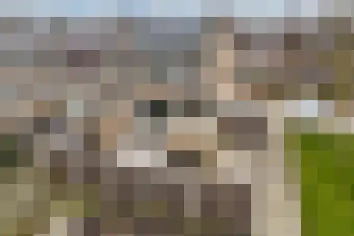 Pluut 32 Lemmer thumbnail 5