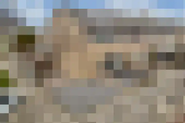 Pluut 32 Lemmer thumbnail 6
