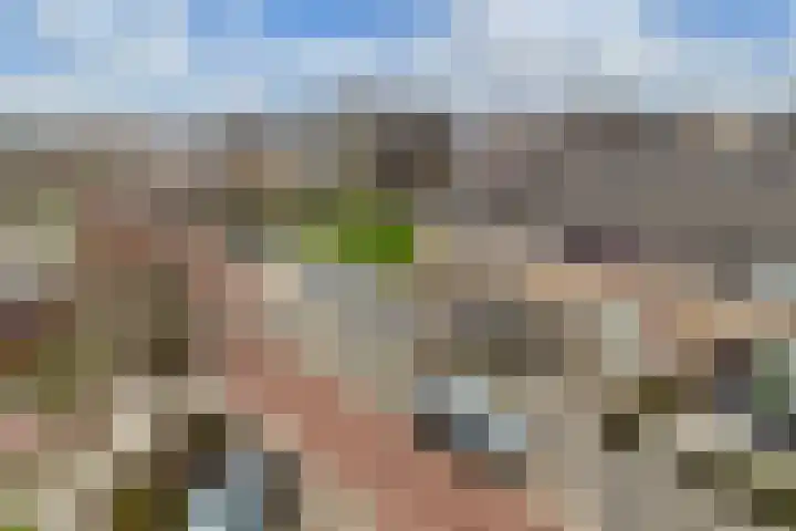 Pluut 32 Lemmer thumbnail 7